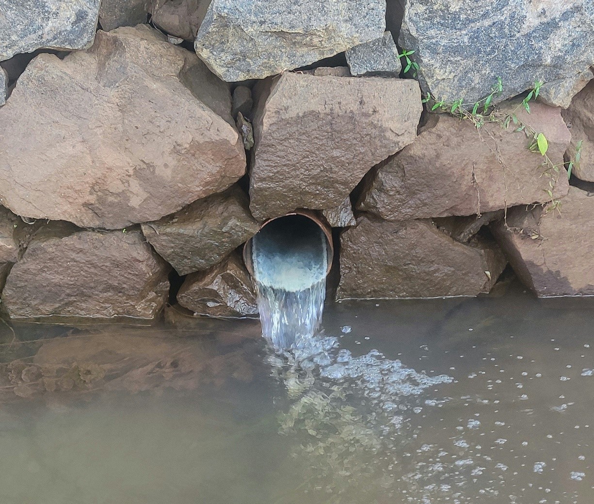 Equilibrio Ecológico y la Protección al Ambiente (LGEEPA) 